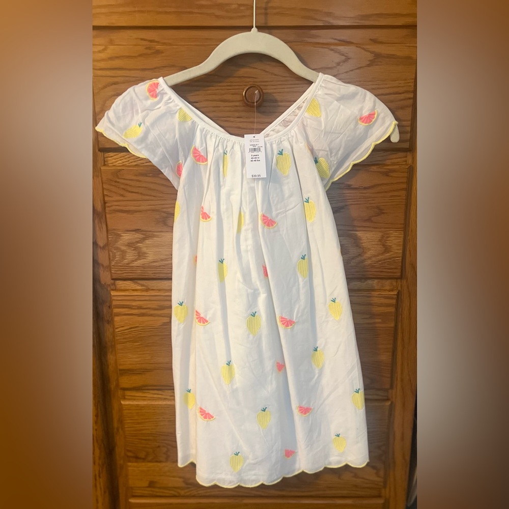 NWT Gap Toddler Fruit Flutter Embroidery White Dress